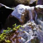 water flowing over rocks | the DAWN Method