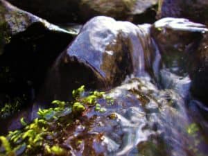 water flowing over rocks | the DAWN Method