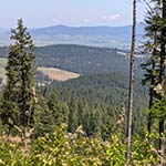 Mountains with pine trees near Viola, Idaho