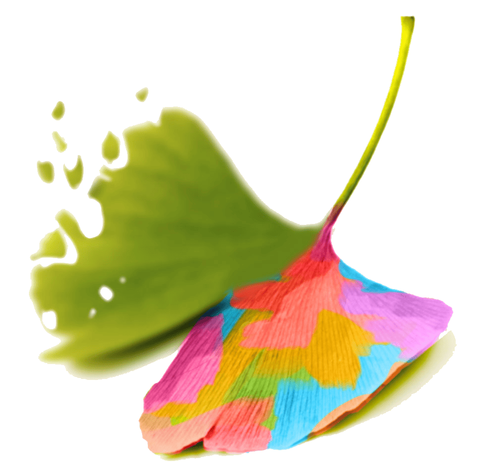 ginkgo leaf with one side fading and one side in rainbow colors