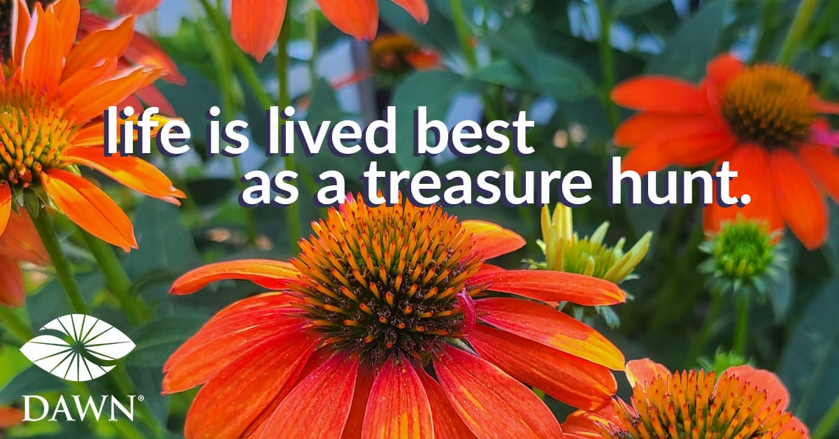 Life is lived best as a treasure hunt.